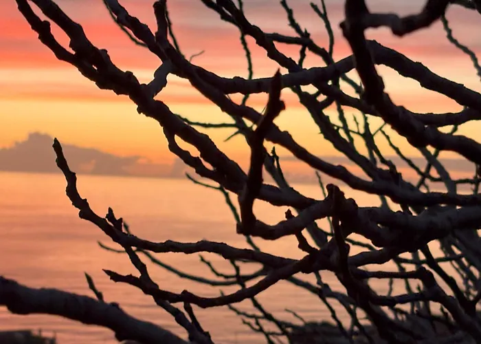 דירה Casa Nico And Vico *